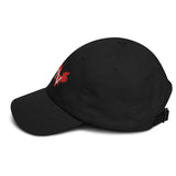 PINTV Cap