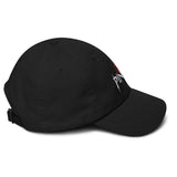 PINTV Cap